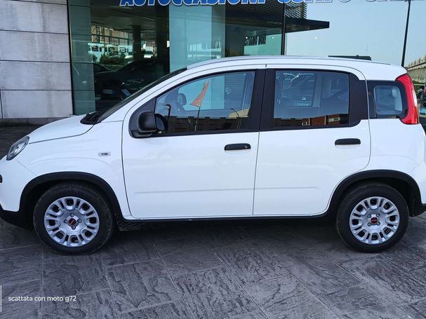 Fiat Panda 51 kW image number 5