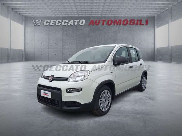 Fiat Panda 51 kW image number 1