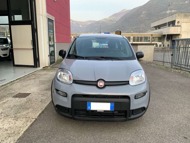 Fiat Panda 51 kW image number 2