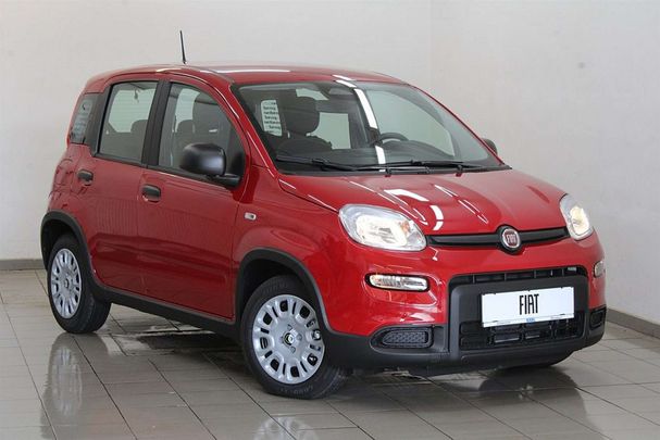 Fiat Panda 51 kW image number 2