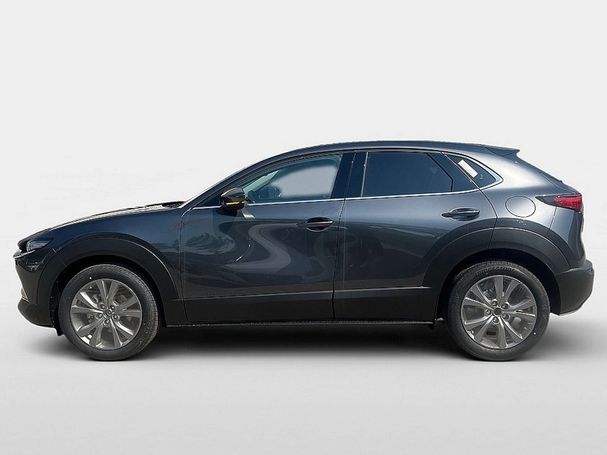 Mazda CX-30 90 kW image number 6