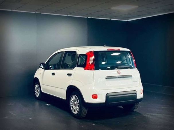 Fiat Panda 1.0 Hybrid 51 kW image number 3