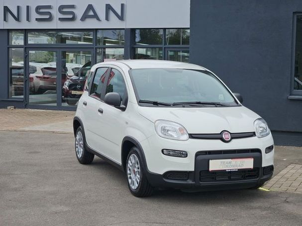 Fiat Panda 51 kW image number 2