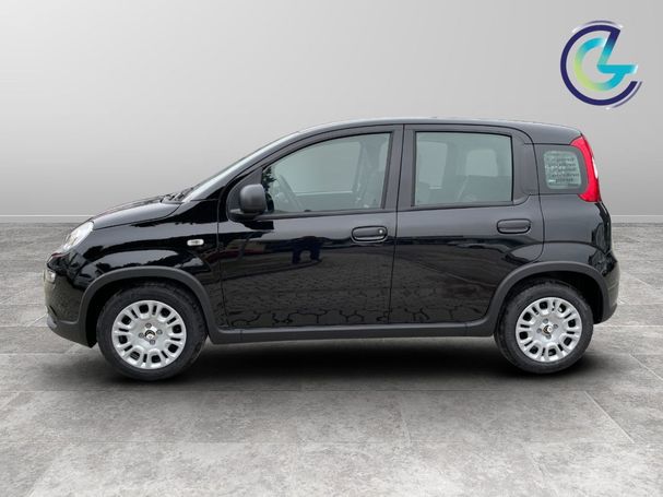 Fiat Panda 51 kW image number 5