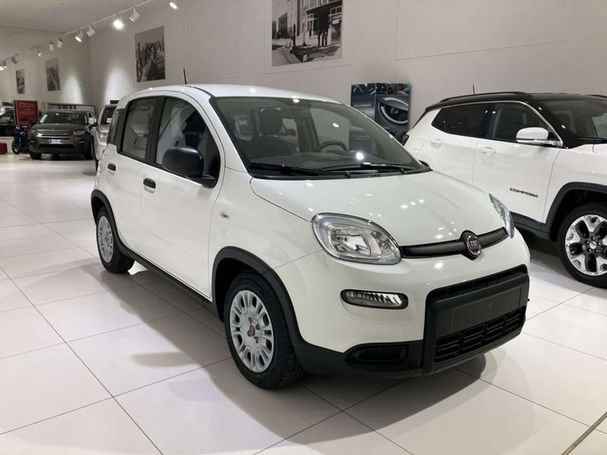 Fiat Panda 1.0 Hybrid 51 kW image number 2