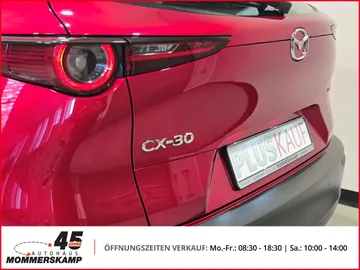Car image 22