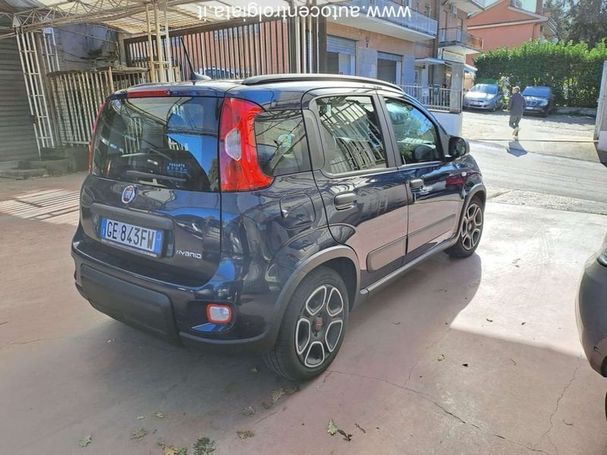 Fiat Panda 1.0 Hybrid City Life 51 kW image number 6