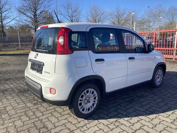 Fiat Panda 1.0 Hybrid 51 kW image number 6