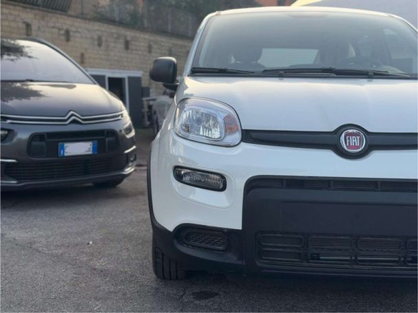 Fiat Panda 51 kW image number 8