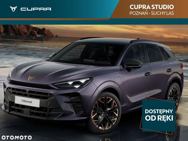 Cupra Terramar 195 kW image number 1