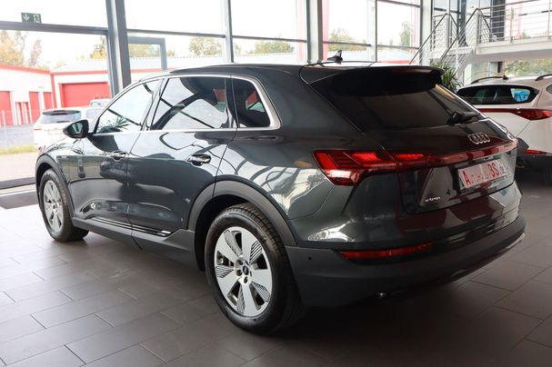 Audi e-tron 50 quattro 230 kW image number 4