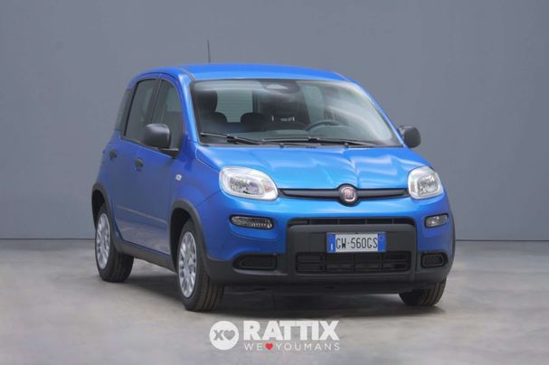 Fiat Panda 51 kW image number 2