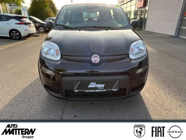 Fiat Panda 51 kW image number 4