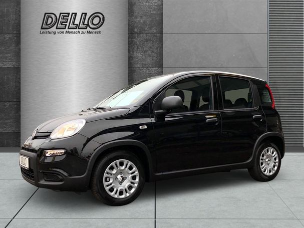 Fiat Panda 51 kW image number 2