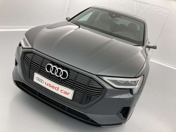 Audi e-tron 55 quattro Advanced 300 kW image number 34