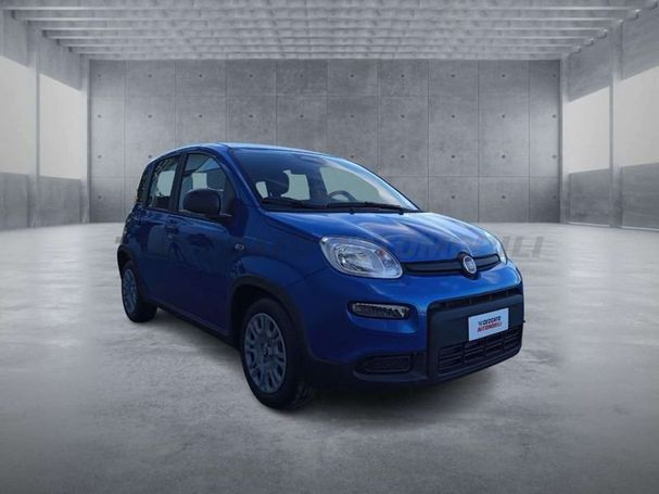 Fiat Panda 51 kW image number 4