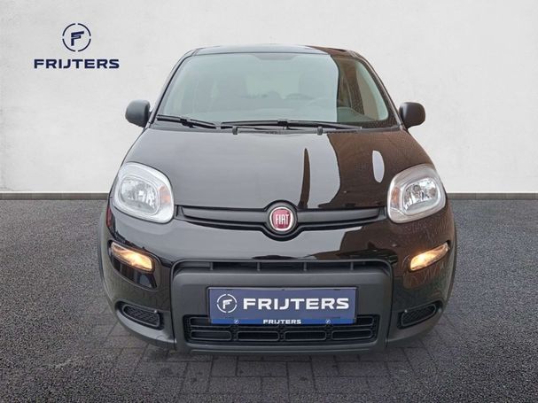 Fiat Panda 1.0 Hybrid 51 kW image number 3