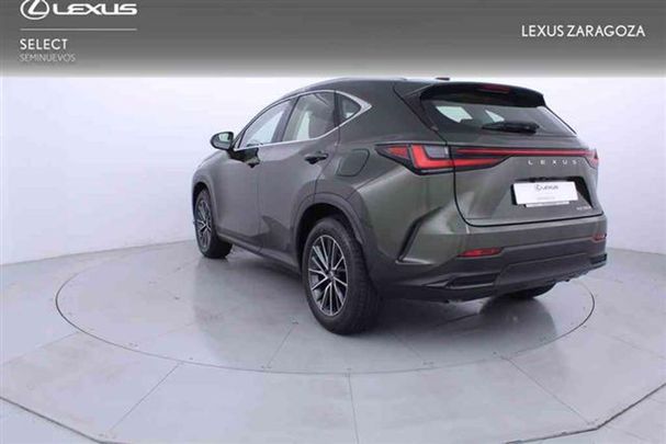 Lexus NX 350 h 178 kW image number 4