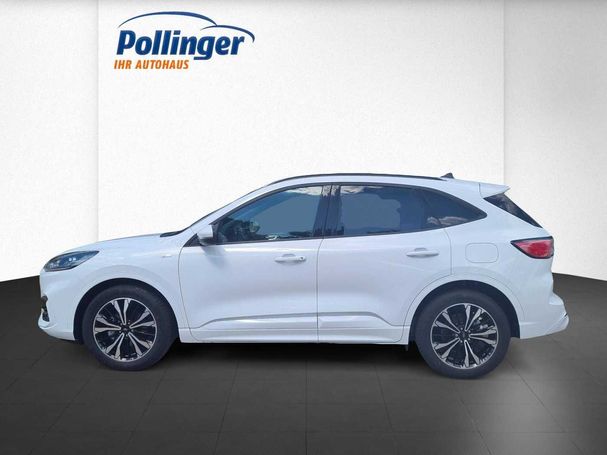 Ford Kuga 1.5 110 kW image number 5