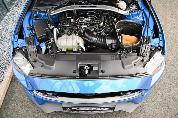 Ford Mustang 5.0 V8 Mach 1 338 kW image number 8