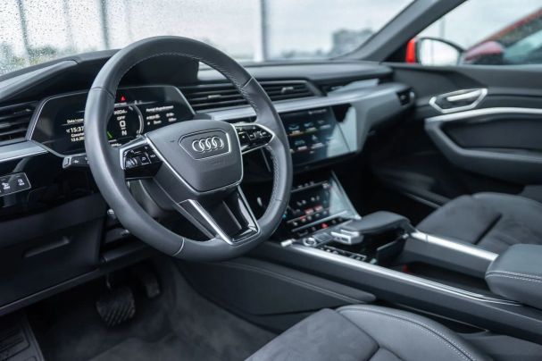 Audi e-tron 251 kW image number 18