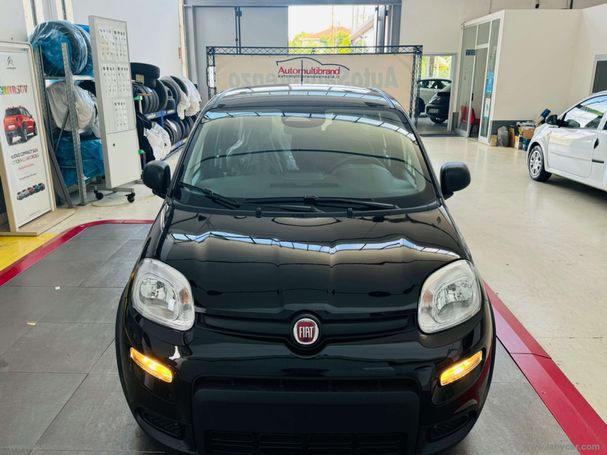 Fiat Panda 1.0 Hybrid 51 kW image number 2