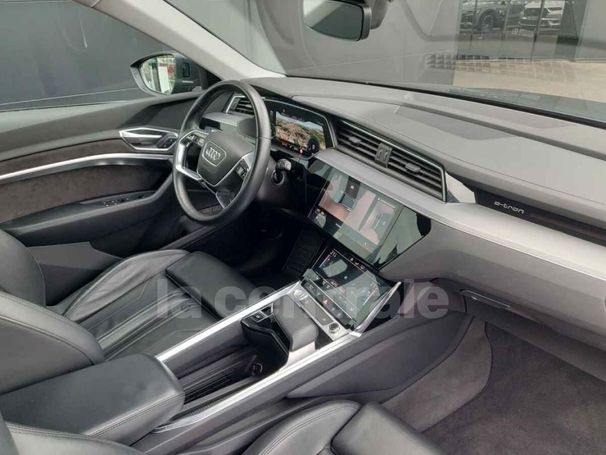 Audi e-tron 50 quattro 230 kW image number 6