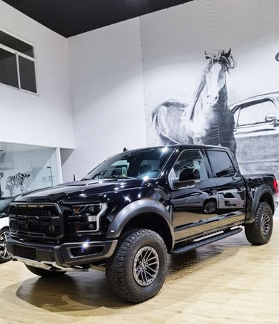 Ford F-150 Raptor 336 kW image number 1