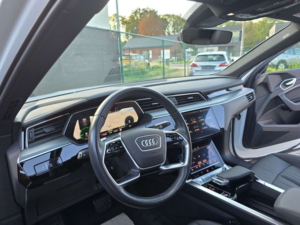 Audi e-tron 55 quattro Advanced 300 kW image number 12