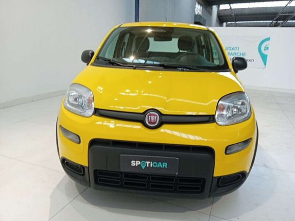 Fiat Panda 51 kW image number 3