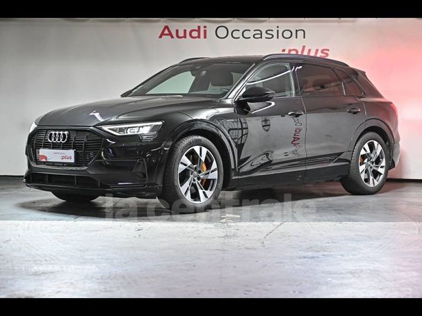 Audi e-tron 50 quattro 230 kW image number 1