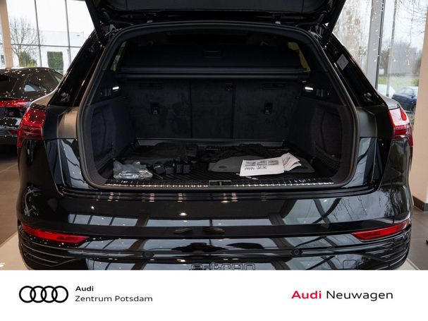 Audi Q8 55 quattro e-tron 300 kW image number 20