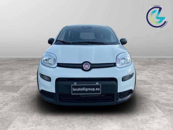 Fiat Panda 51 kW image number 2