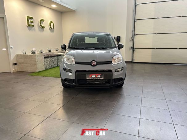 Fiat Panda 1.0 Hybrid 51 kW image number 4