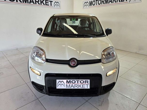 Fiat Panda 1.0 Hybrid 51 kW image number 2