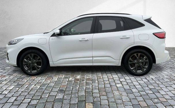 Ford Kuga 2.5 ST-Line CVT 165 kW image number 6