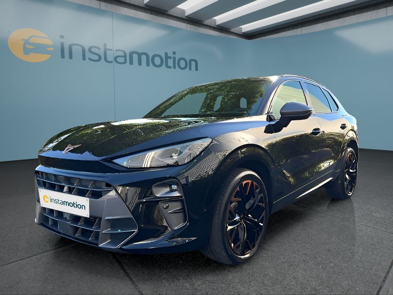 Cupra Terramar 2.0 TSI