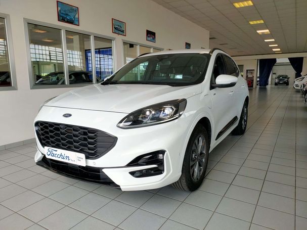 Ford Kuga 132 kW image number 1