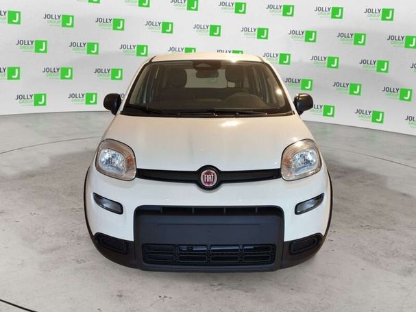 Fiat Panda 51 kW image number 2