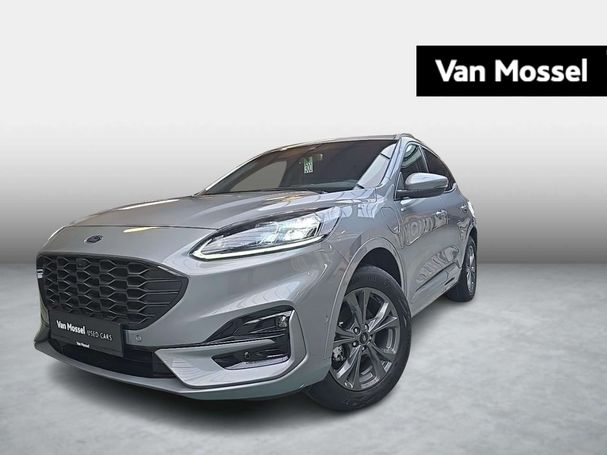 Ford Kuga 165 kW image number 1