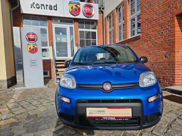 Fiat Panda 51 kW image number 3