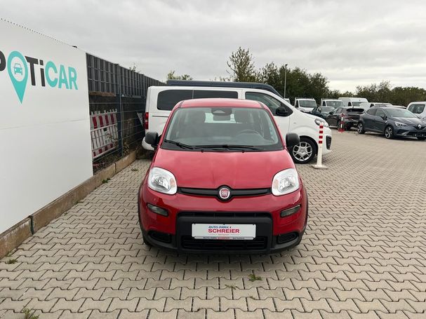 Fiat Panda 51 kW image number 2