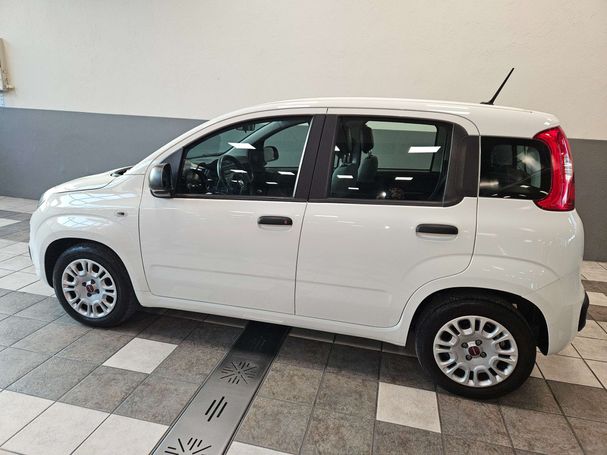 Fiat Panda 1.0 Hybrid Sport 51 kW image number 5