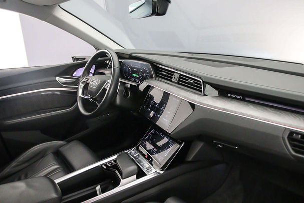 Audi e-tron 55 Advanced 300 kW image number 5