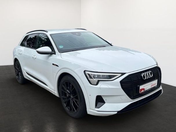 Audi e-tron 50 quattro 230 kW image number 2