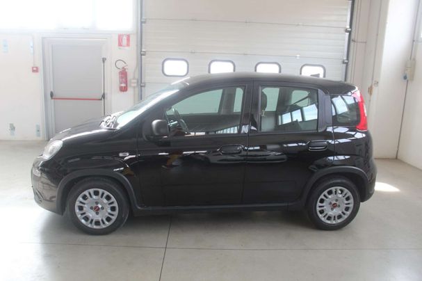 Fiat Panda 1.0 Hybrid 51 kW image number 5