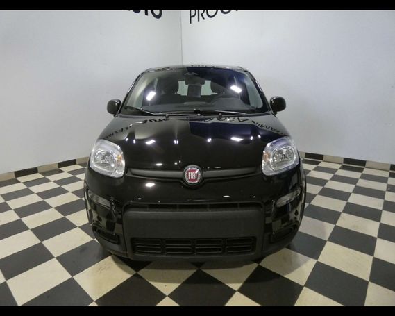 Fiat Panda 51 kW image number 3