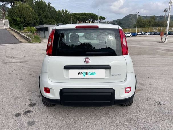 Fiat Panda 1.0 Hybrid City Life 51 kW image number 4