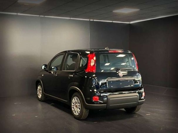 Fiat Panda 1.0 Hybrid 51 kW image number 2