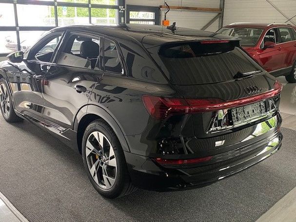 Audi e-tron 55 quattro Advanced 300 kW image number 5